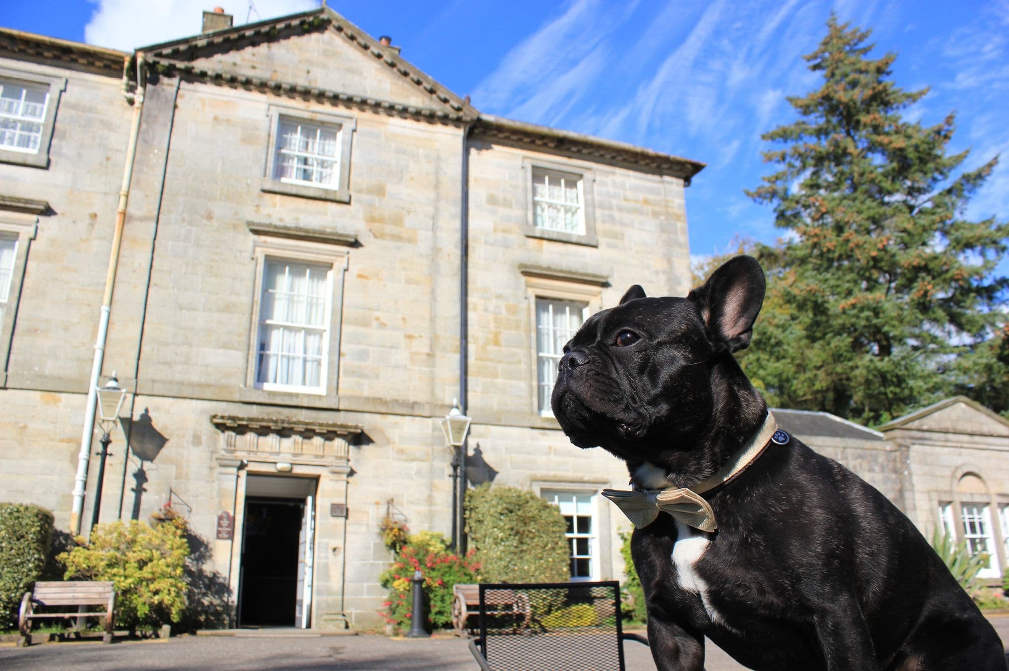 Strathaven Hotel Extérieur photo